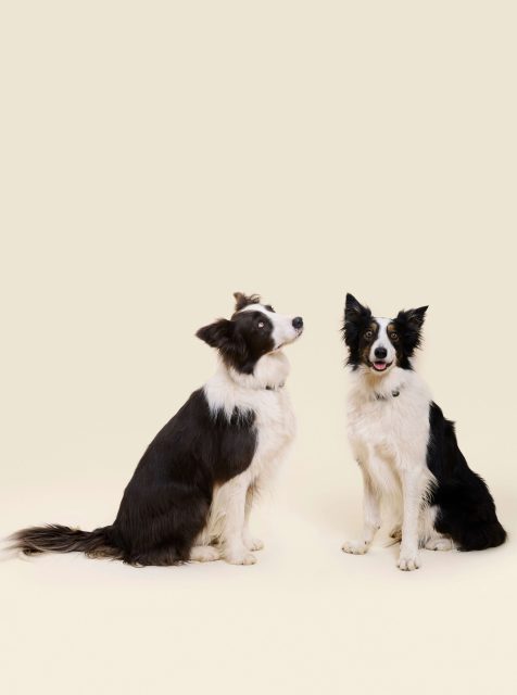 PRAXIS_Moserhofgasse_Mai25__12-s